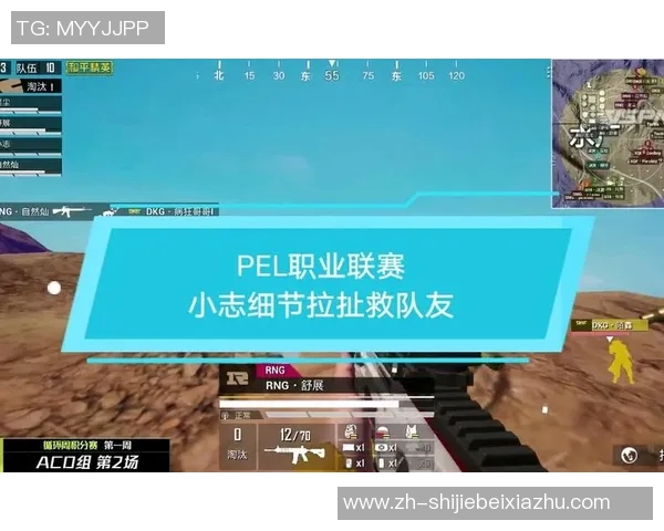 世界杯新闻和平精英专题深入分析RNG战队心理素质对比赛表现的影响与启示